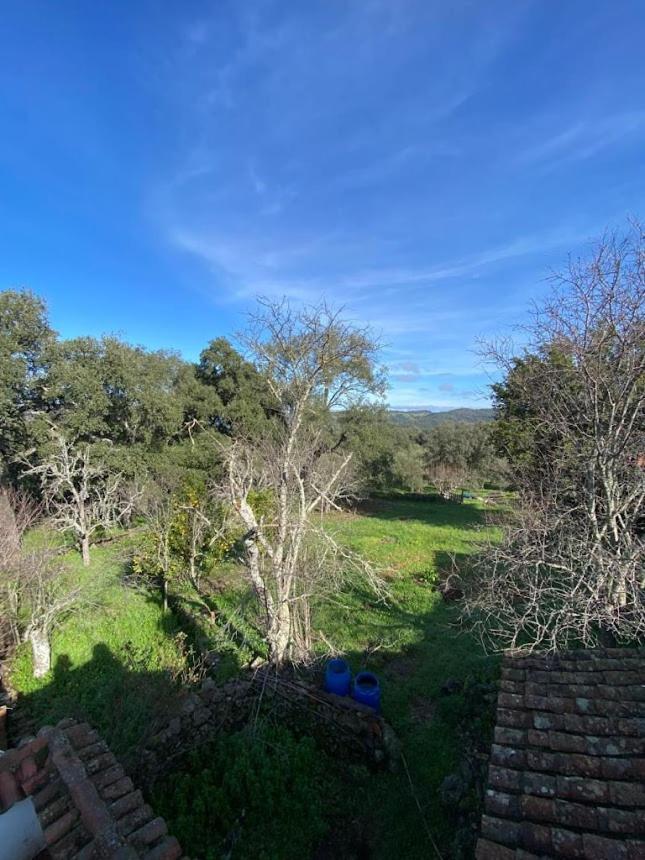 Espaciosa Y Elegante Casa Rural En Los Marines Eksteriør bilde